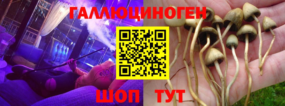Нижний Тагил  Псилоцибиновые грибы Psilocybine cubensis  Галлюциногенные грибы Psilocybine cubensis  Вход с VPN 